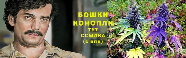 прущий лед Бутурлиновка