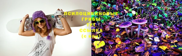 ECSTASY Нягань