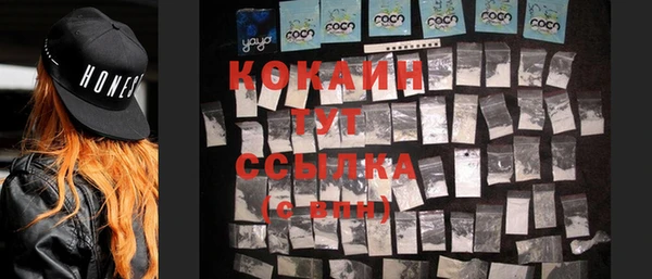 apvp Няндома