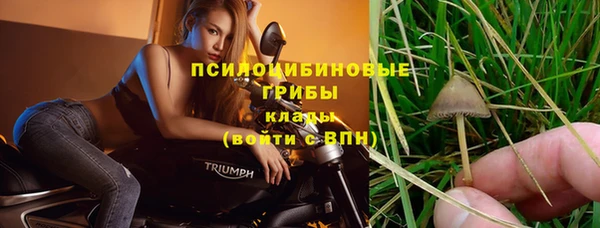 мяу мяу мука Нязепетровск