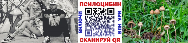 MEGA онион  Абдулино  Псилоцибиновые грибы ЛСД 